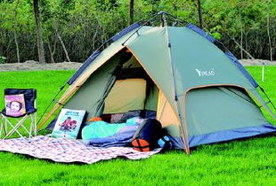 明媚春光催熱大慶踏青經濟，戶外用品旺銷垂釣配件成亮點